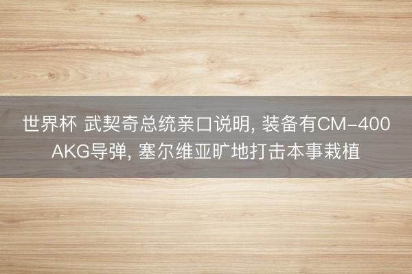 世界杯 武契奇总统亲口说明, 装备有CM-400AKG导弹, 塞尔维亚旷地打击本事栽植