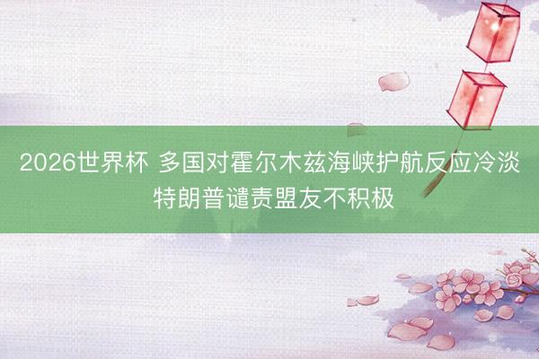 2026世界杯 多国对霍尔木兹海峡护航反应冷淡 特朗普谴责盟友不积极