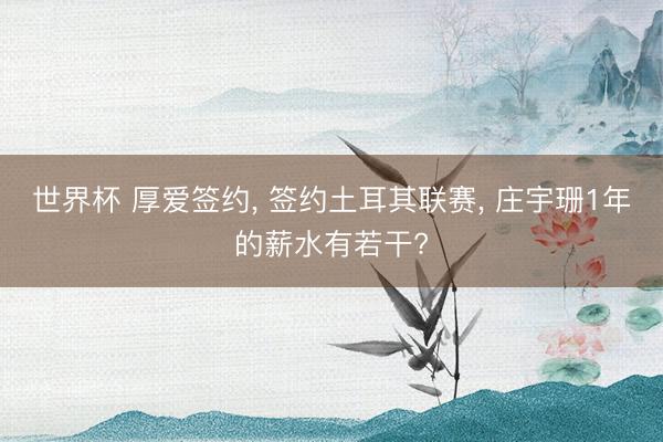 世界杯 厚爱签约, 签约土耳其联赛, 庄宇珊1年的薪水有若干?