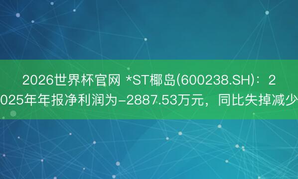 2026世界杯官网 *ST椰岛(600238.SH)：2025年年报净利润为-2887.53万元，同比失掉减少