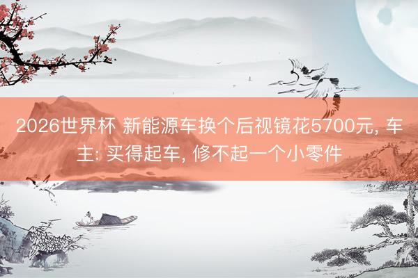 2026世界杯 新能源车换个后视镜花5700元, 车主: 买得起车, 修不起一个小零件